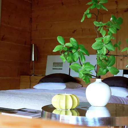 Datchas Apartment *