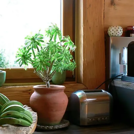 アパート Datchas *